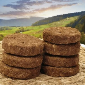 Dung