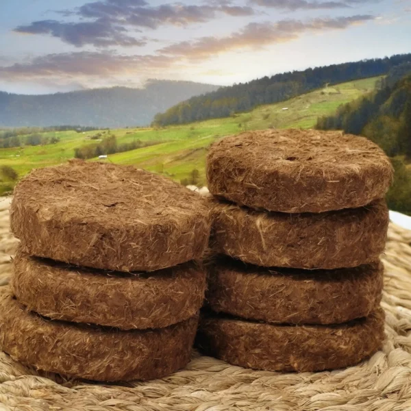 Dung